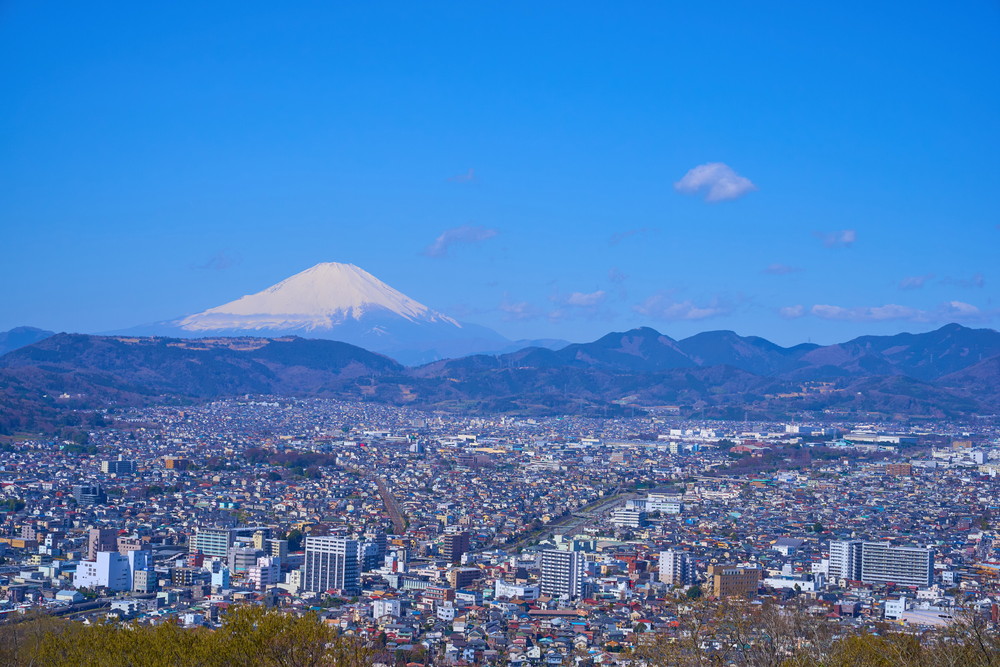 秦野市