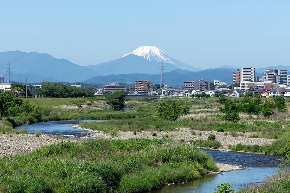 日野市