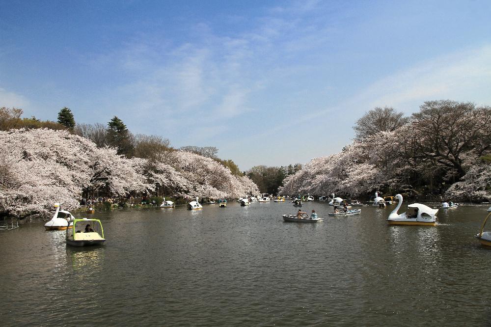 三鷹市
