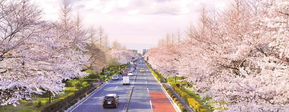 国立市